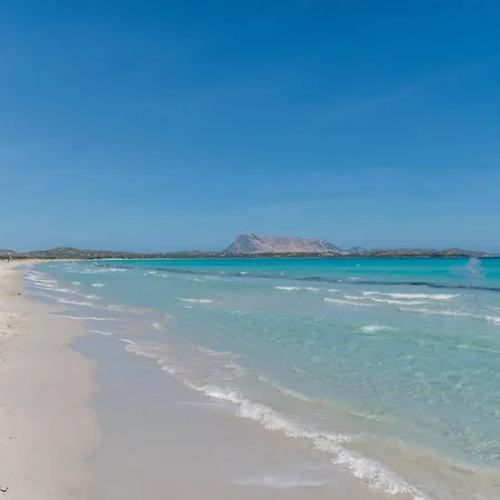 Oasi Blu - Trilo 4 By Interhome San Teodoro (Sardinia)
