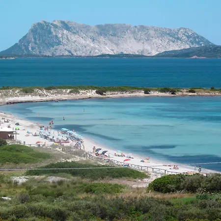 Apartment Oasi Blu - Trilo 4 By Interhome San Teodoro (Sardinia)